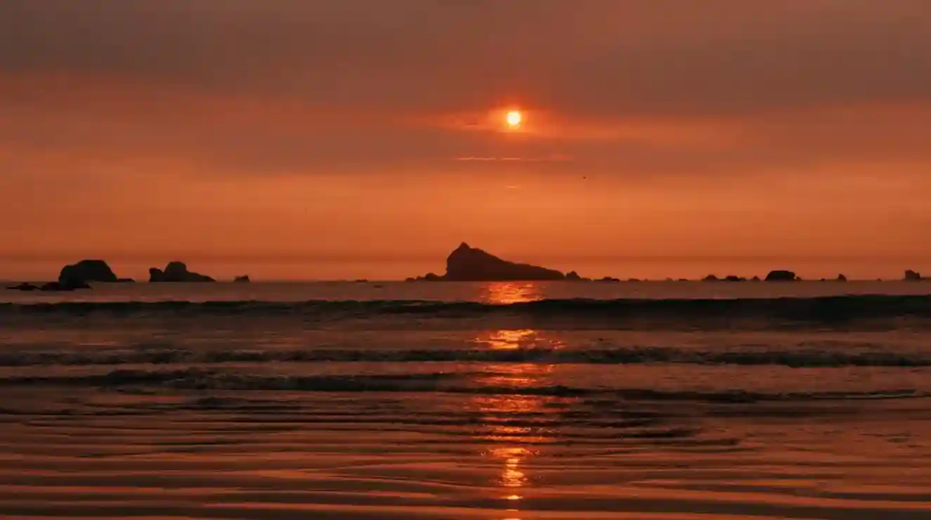 Golden coastline with gentle waves rolling onto the shore